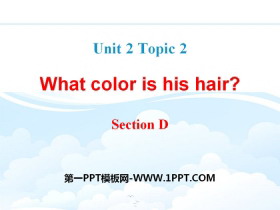《What color is his hair?》SectionD PPT