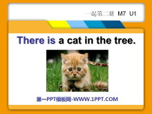 《There is a cat in the tree》PPT课件
