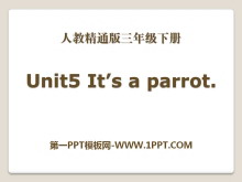 《It's a parrot》PPT课件4