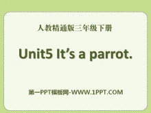 《It's a parrot》PPT课件5