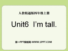 《I'm tall》PPT课件5