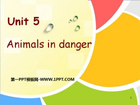 《Animals in danger》PPT下载