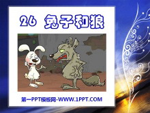 《兔子和狼》PPT课件2
