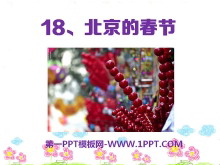 《北京的春节》PPT课件10
