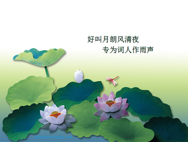 荷塘蜻蜓——中国风PPT模板
