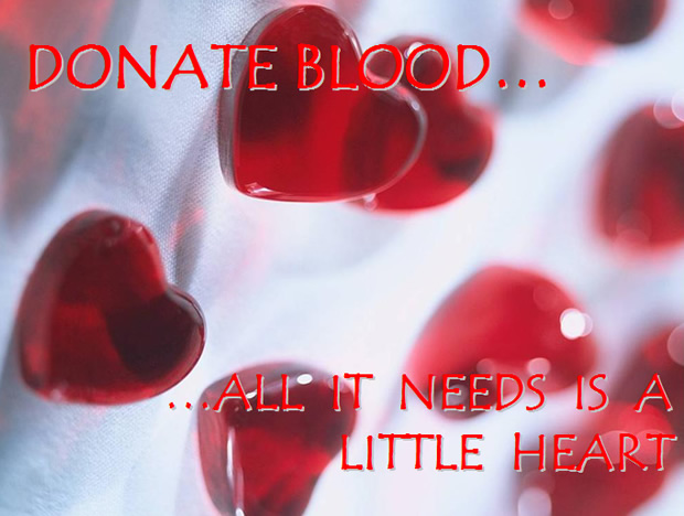 无偿献血——公益PPT模板