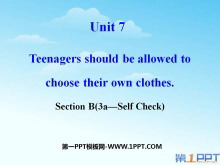 《Teenagers should be allowed to choose their own clothes》PPT课件18
