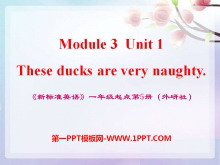 《These ducks are very naughty!》PPT课件3