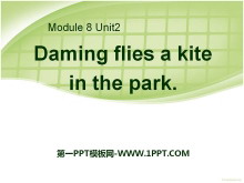 《Daming flies a kite in the park》PPT课件