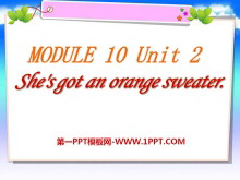 《She's got an orange sweater》PPT课件2