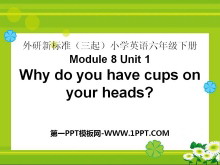 《Why do you have cups on your heads?》PPT课件