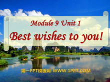 《Best Wishes to you》PPT课件3