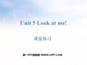 《Look at me!》课堂练习PPT