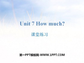 《How much?》课堂练习PPT