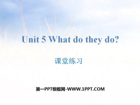 《What do they do?》课堂练习PPT