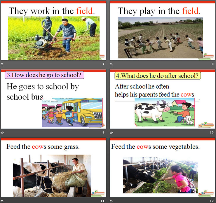 《He goes to school by school bus》Country Life PPT