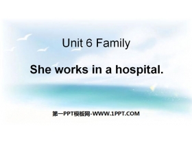 《She works in a hospital》Family PPT