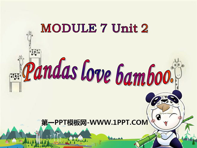 《Pandas love bamboo》PPT课件5