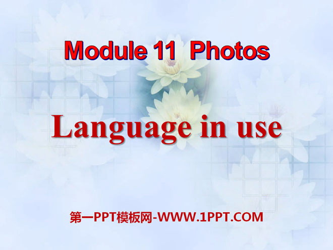《Language in use》Photos PPT课件2