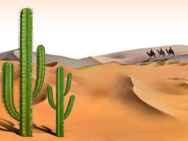 骆驼仙人柱沙漠风景PPT模板1