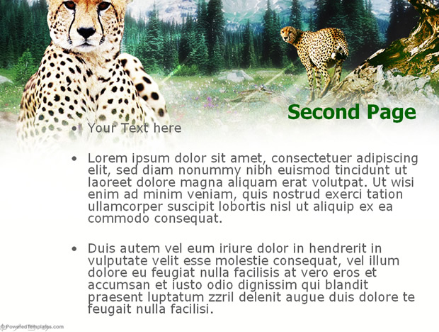 豹子——动物PPT模板