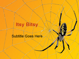 蜘蛛与蜘蛛网动物ppt模板