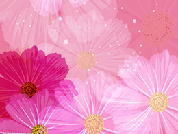 10张漂亮的紫色花瓣PPT背景图片下载