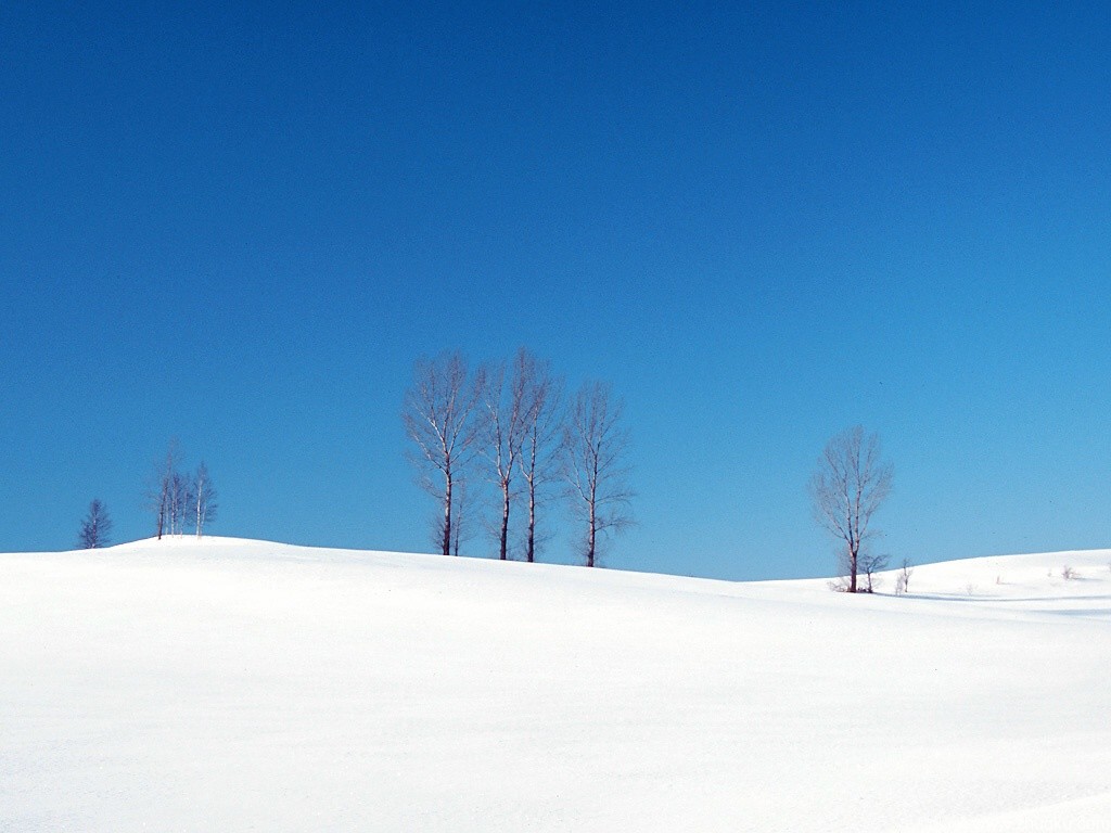 雪景PPT背景图片