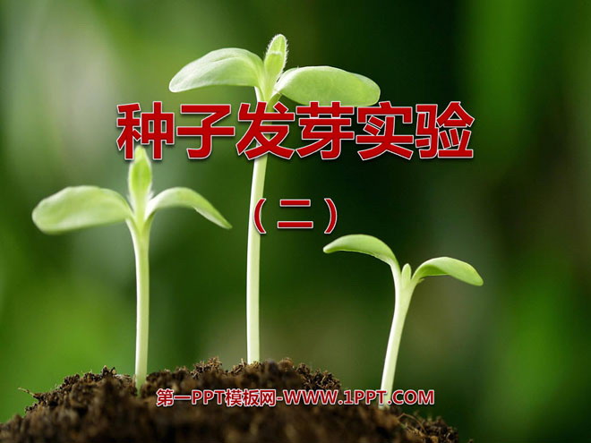 《种子发芽实验(二)》生物与环境PPT课件4