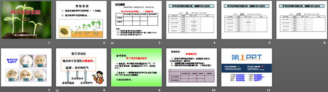 《种子发芽实验(二)》生物与环境PPT课件4