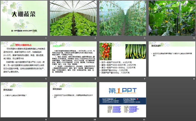 《大棚蔬菜》农田PPT课件2