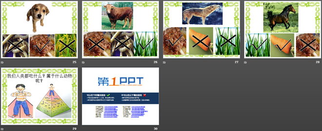 《动物的食物》动物的生活PPT课件2