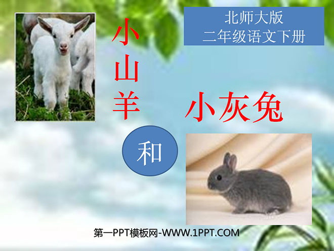 《小山羊和小灰兔》PPT课件4