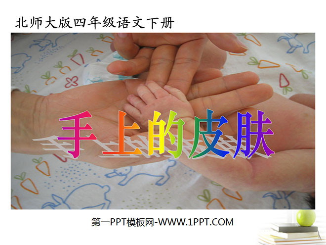 《手上的皮肤》PPT课件4