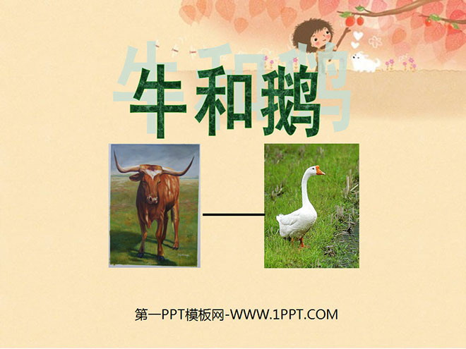 《牛和鹅》PPT课件3