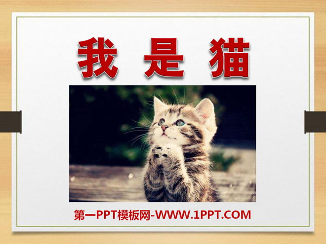 《我是猫》PPT课件2