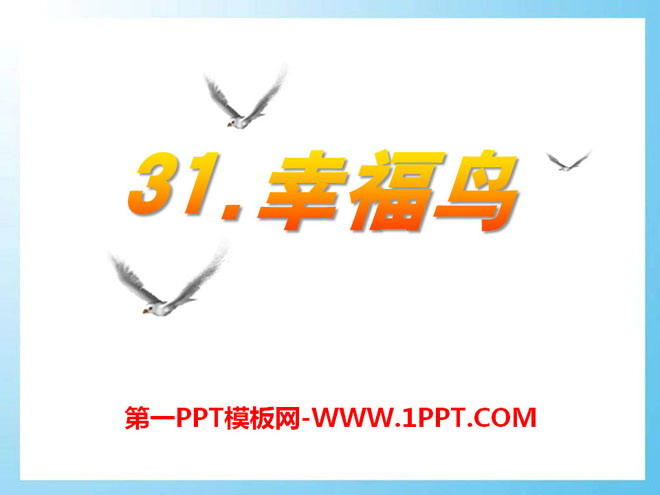 《幸福鸟》PPT课件4