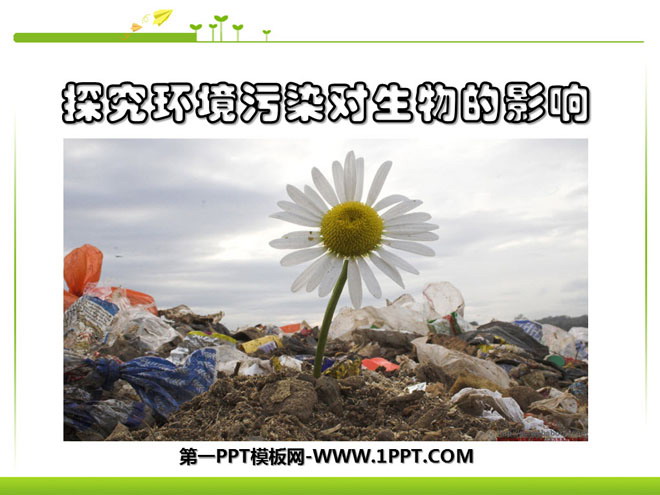 《探究环境污染对生物的影响》人类活动对生物圈的影响PPT课件4