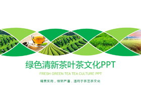 绿色茶园背景的茶文化PPT模板