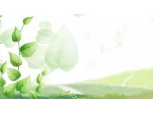 绿色唯美叶子幻灯片背景图片