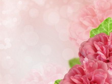 粉色花卉PPT背景图片