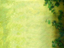 绿色的爬山虎PPT背景图片