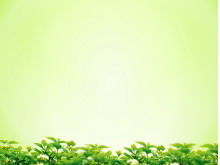 绿色桂花背景简洁PPT背景图片