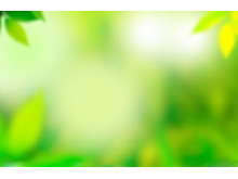 黄绿色调模糊植物PPT背景图片