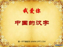 《我爱你，中国汉字》PPT课件2