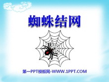 《蜘蛛织网》PPT课件3