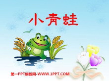 《小青蛙》PPT课件2