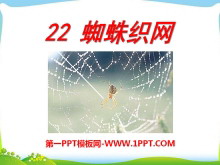 《蜘蛛织网》PPT课件2