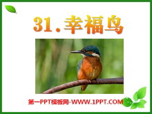 《幸福鸟》PPT课件5
