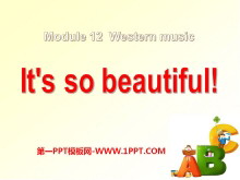 《It's so beautiful》Western music PPT课件2